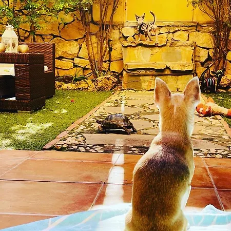 Private Garden Jacuzzi & Relax In Calahonda * Marbella