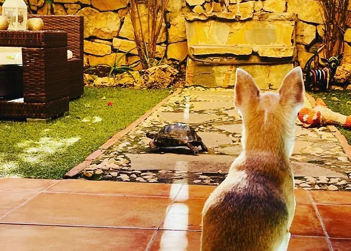 Residencial Bajo Con Jardin Y Jacuzzi Privado Calahonda Royale * Marbella